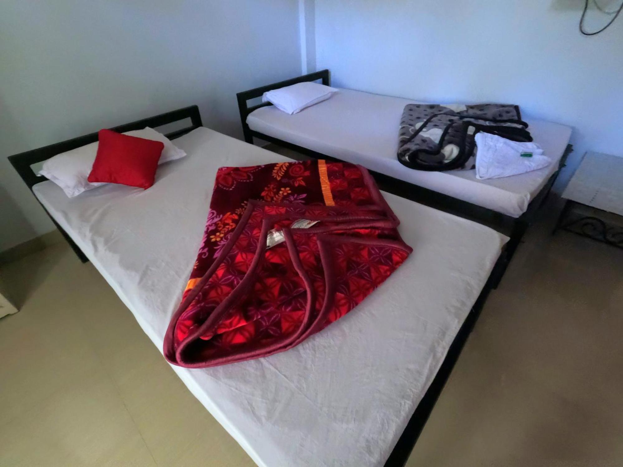 Kareng Party Camp N Homestay Kāziranga المظهر الخارجي الصورة